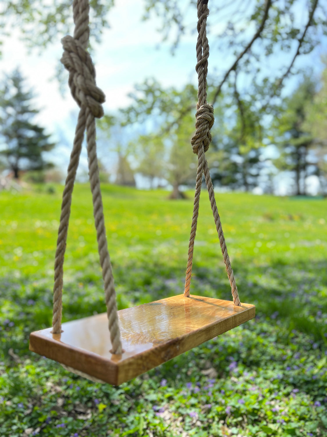 Outdoor Swings