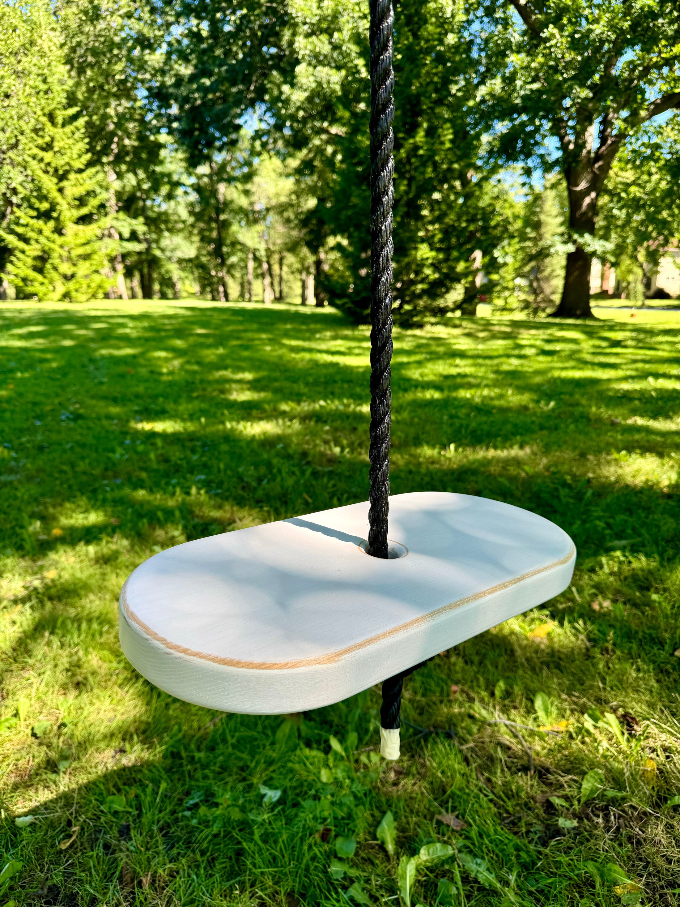 Oval Style Tree Swing