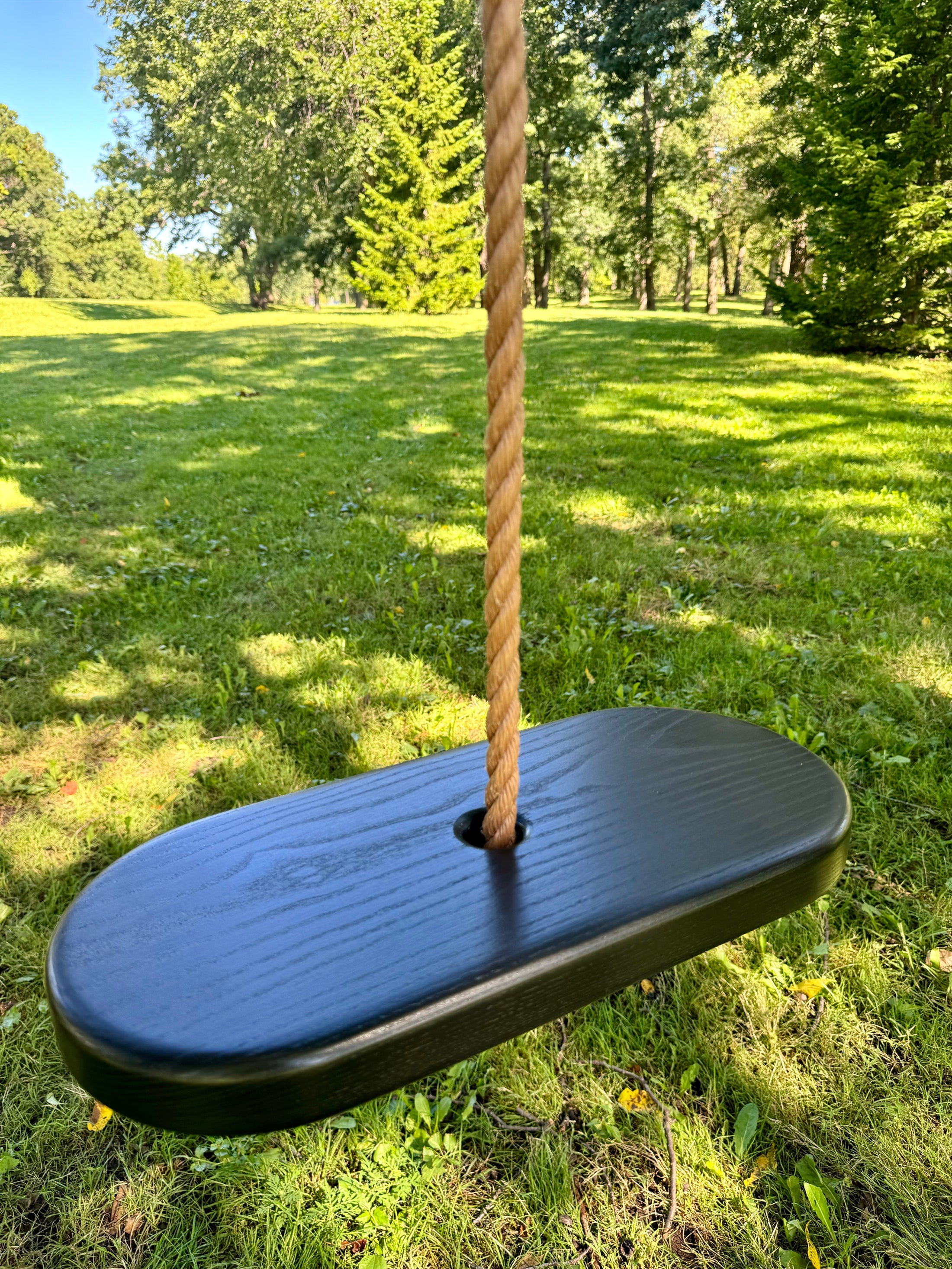 Oval Style Tree Swing