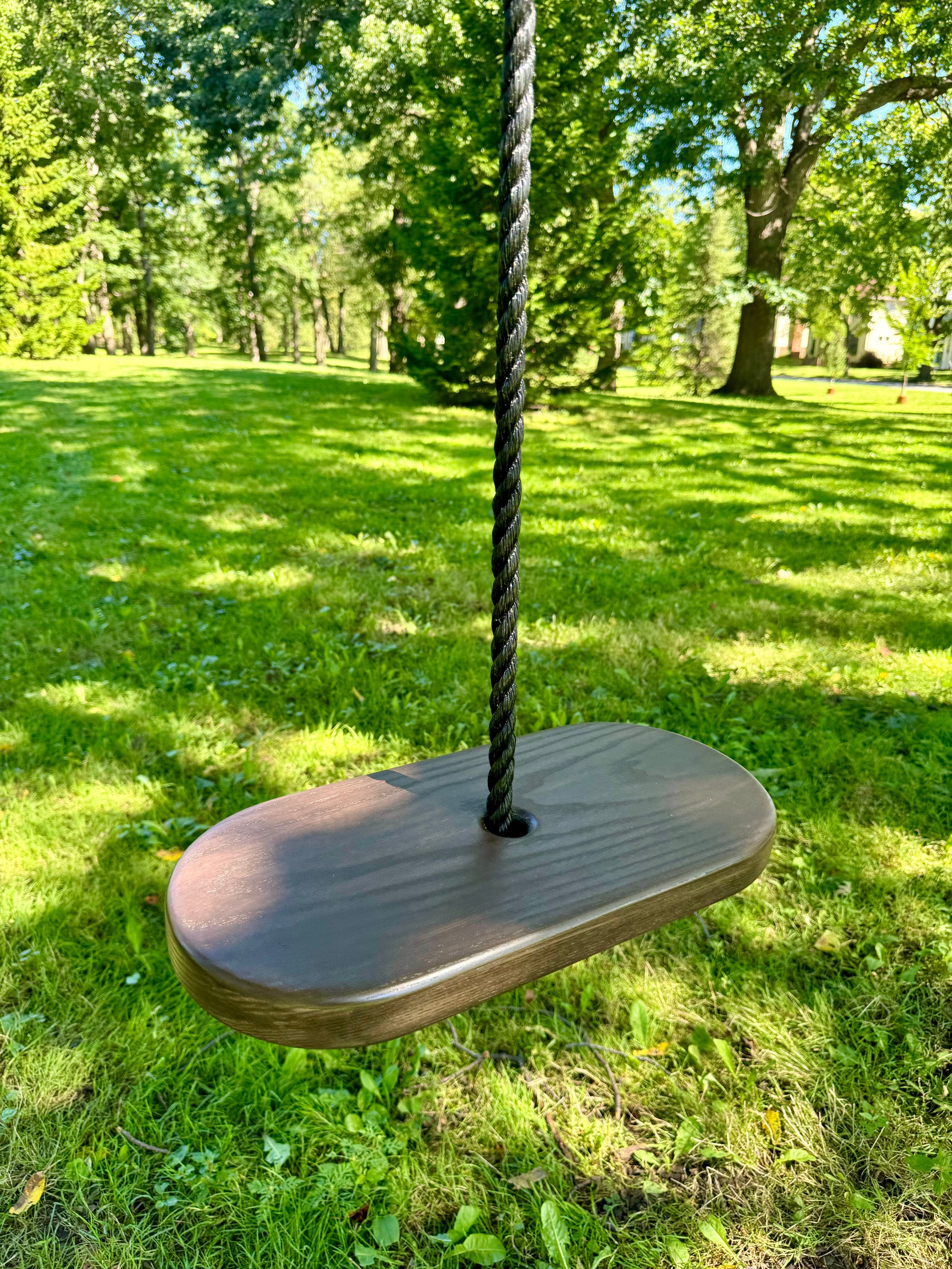 Oval Style Tree Swing