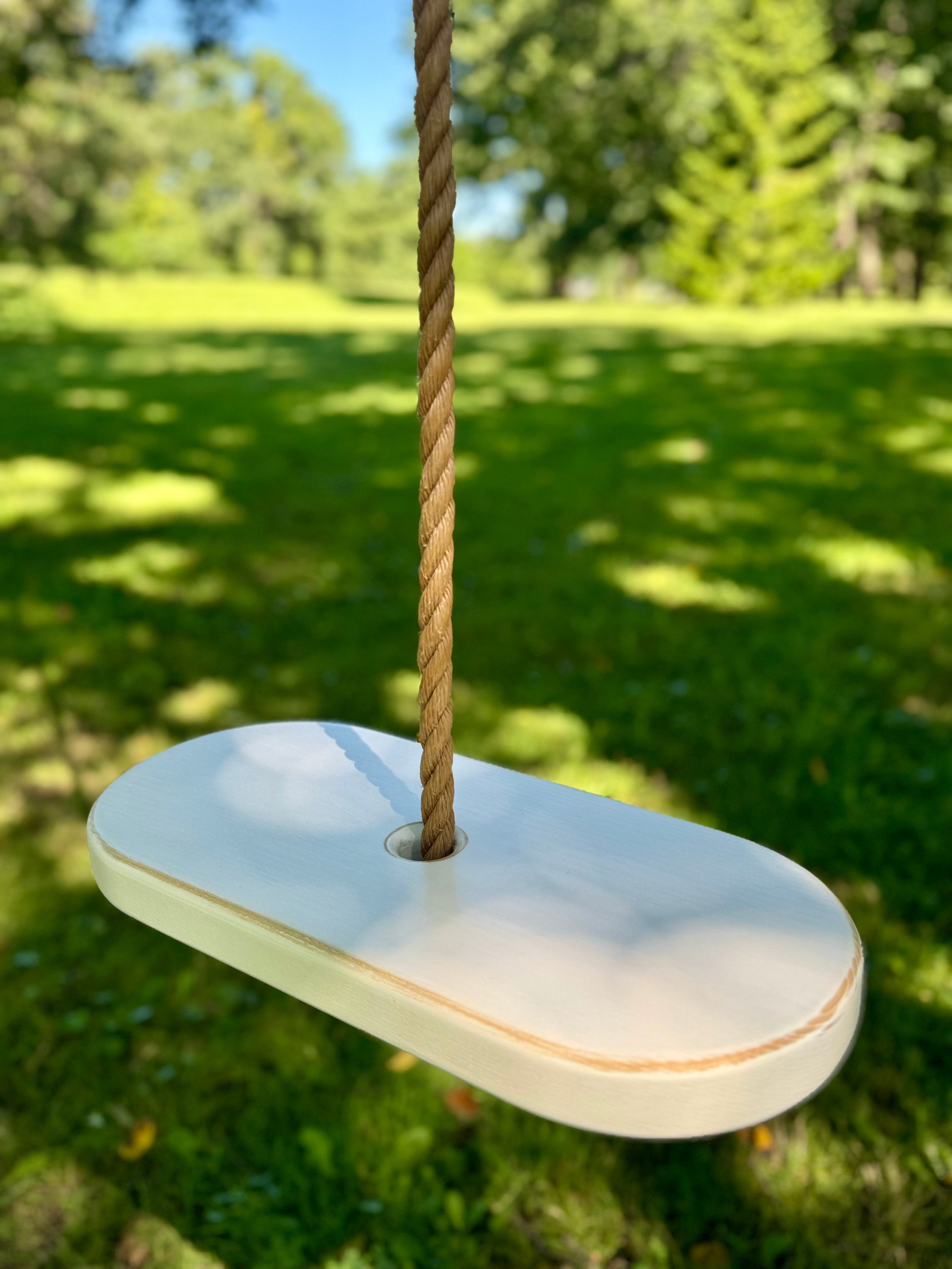 Oval Style Tree Swing