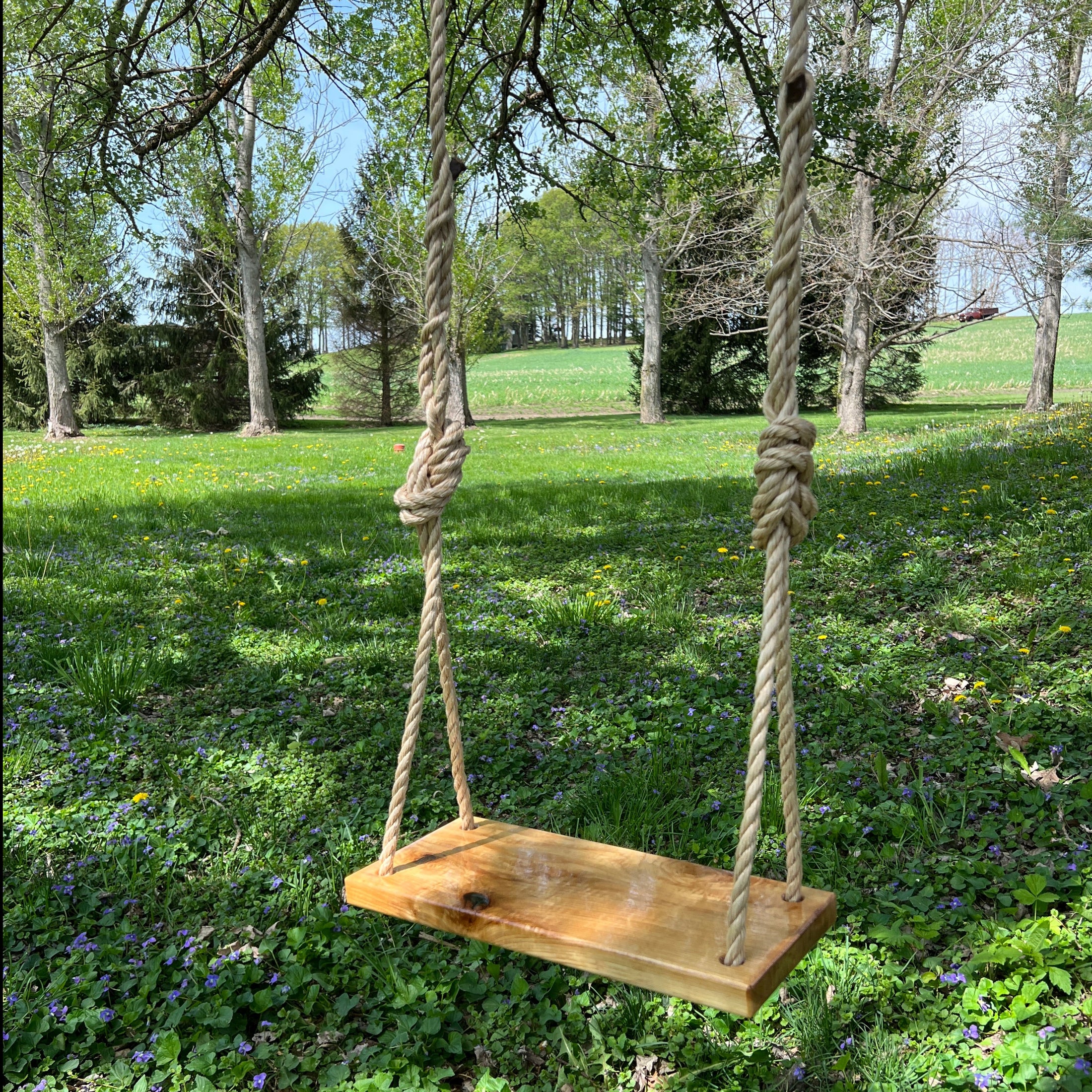 (bench_swing_hickory)